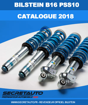 Catalogue combiné fileté bilstein b16 PSS10 format pdf