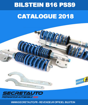 Catalogue combiné fileté bilstein b16 PSS9 format pdf